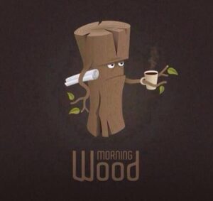 morning wood